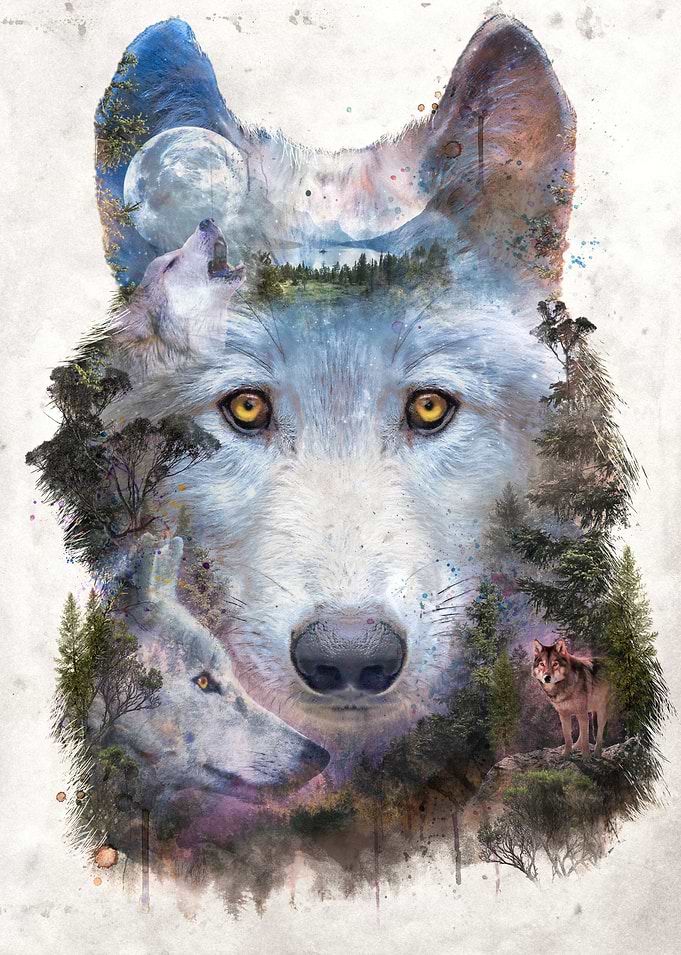 One Pack Under Moon
