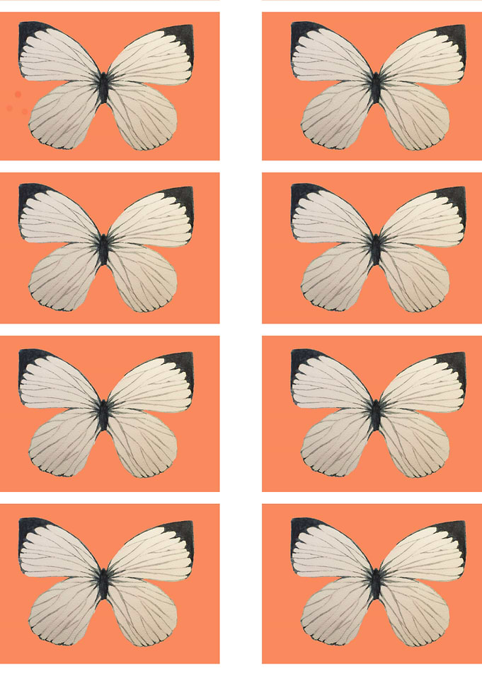 butterflies