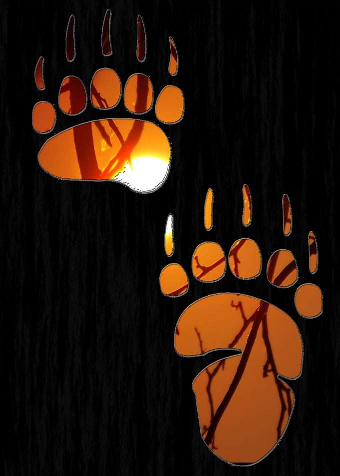 Bear Claw