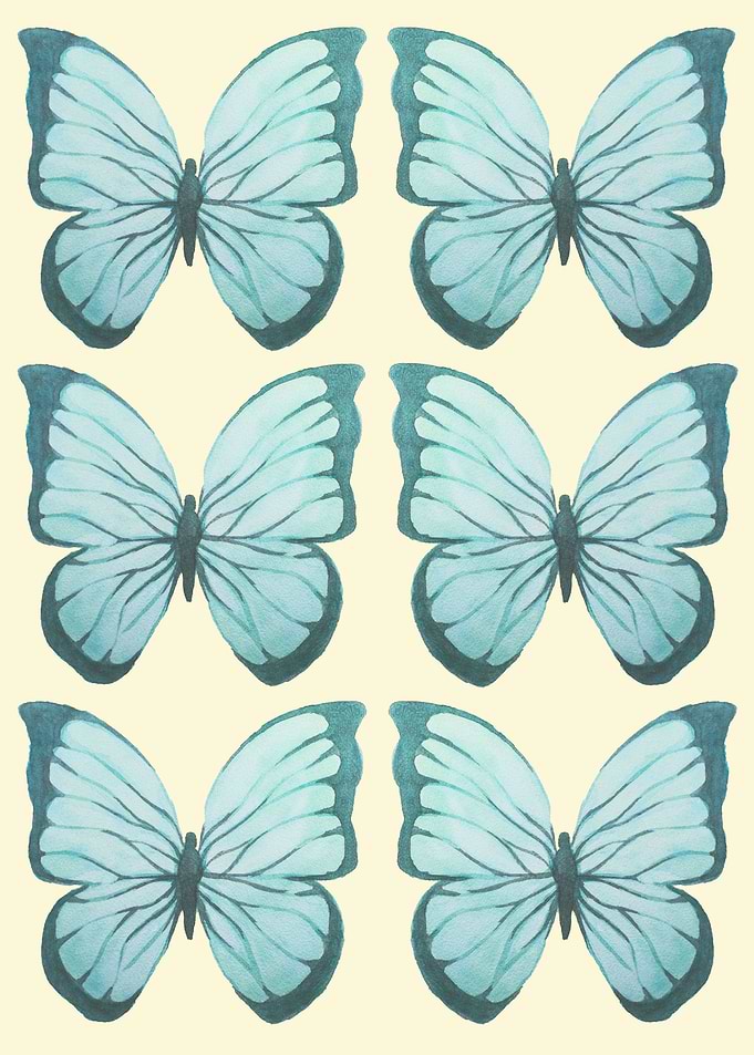 butterflies