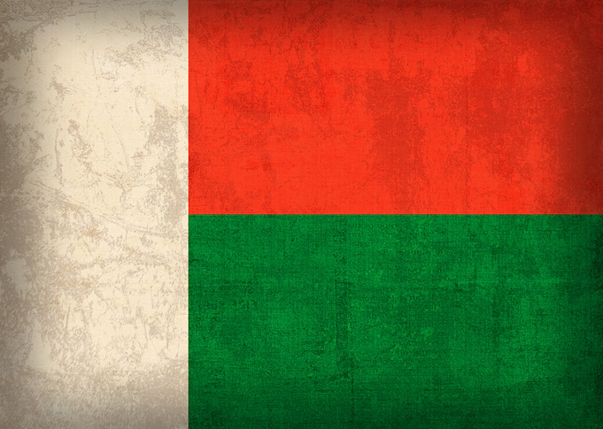 Madagascar Flag on Distressed Canvas
