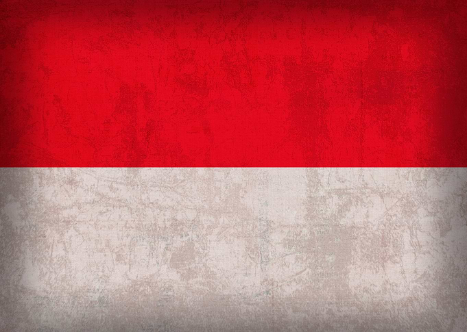 Monaco Country Flag on Distressed Canvas