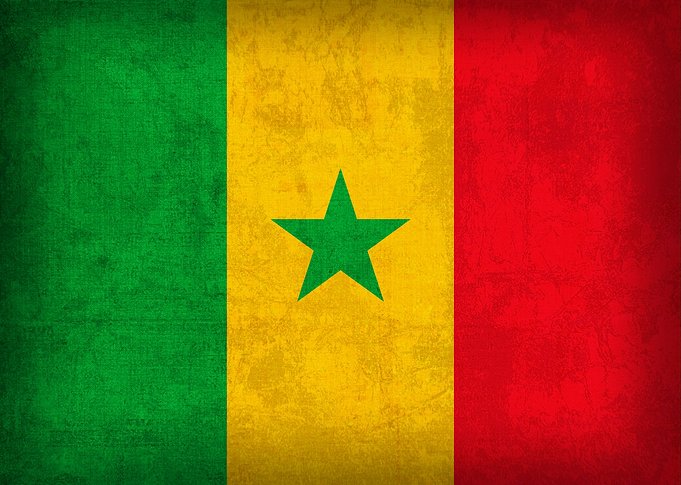 Senegal Country Flag on Distressed Canvas