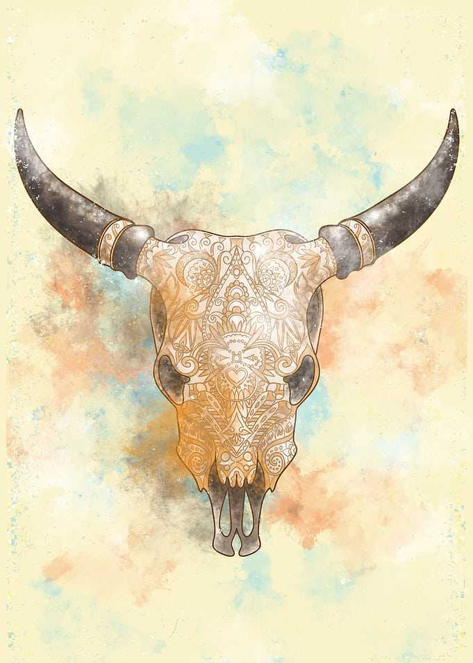 bull skull
