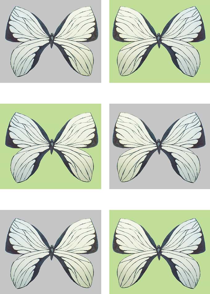 butterflies