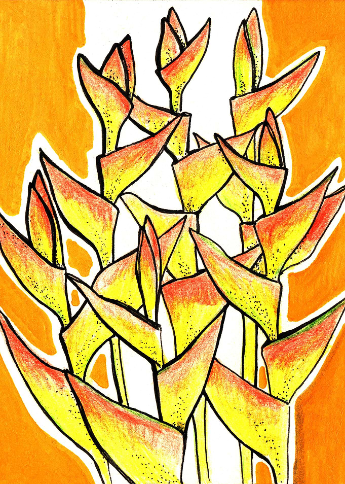 Heliconia Rostrata / Lobster Claw, tropic flowers