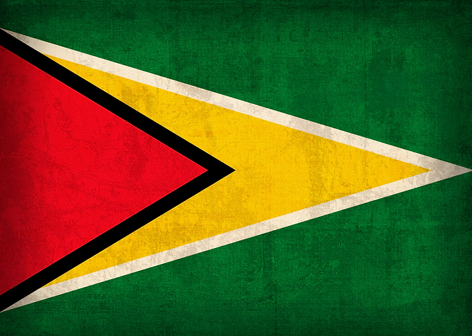 Guyana Flag on Distressed Canvas