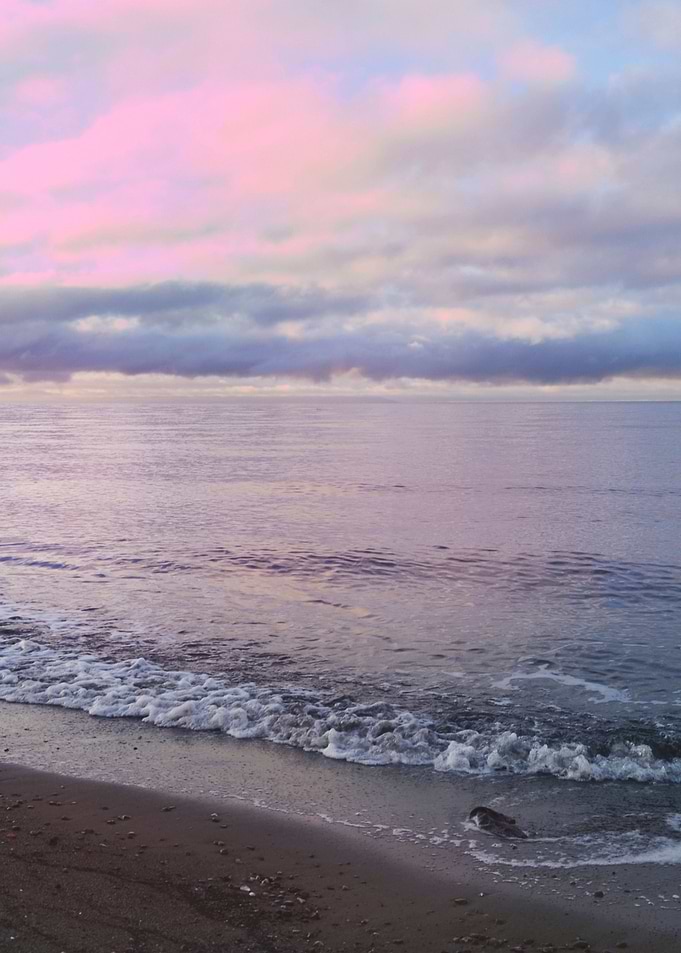 Serenity