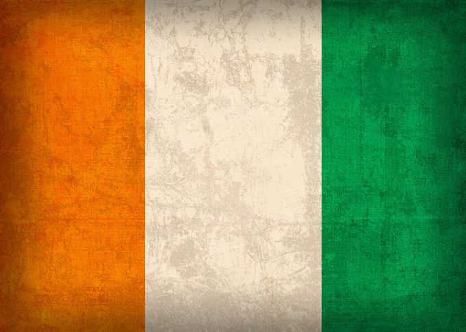 Ivory Coast Flag on Distressed Canvas
