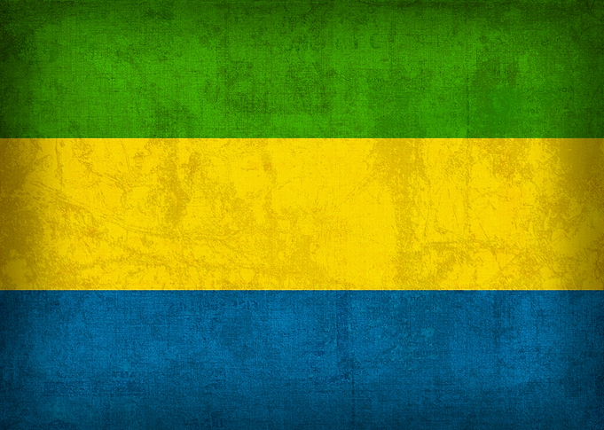 Gabon Flag on Distressed Canvas