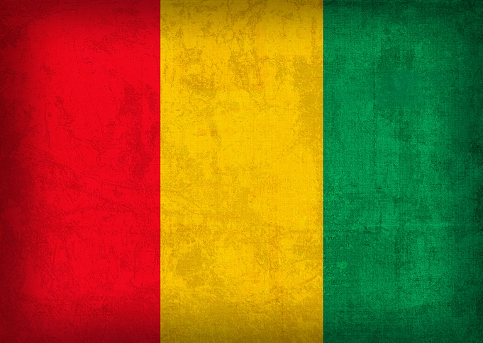 Guinea Flag on Distressed Canvas