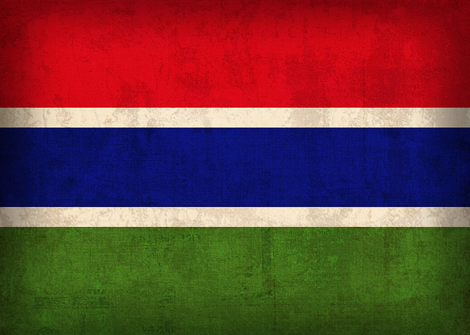 Gambia Flag on Distressed Canvas