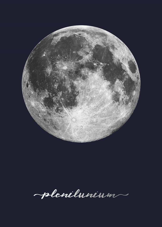 Full Moon - Latin - On Navy Blue