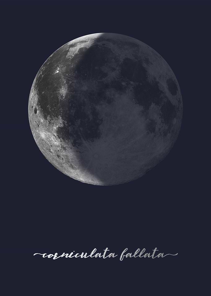 Waning Crescent Moon - Latin - on Navy Blue