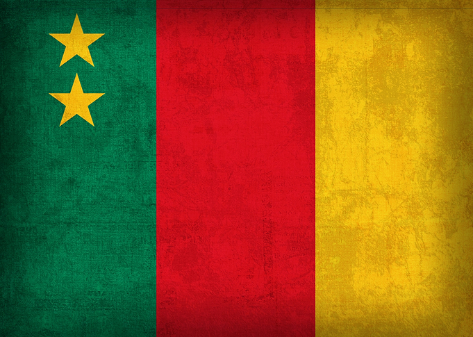 Cameroon Flag on Distressed Canvas