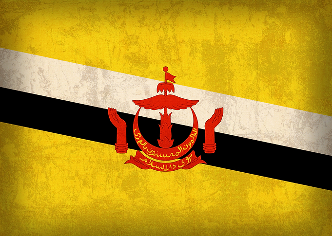 Brunei Flag on Distressed Canvas