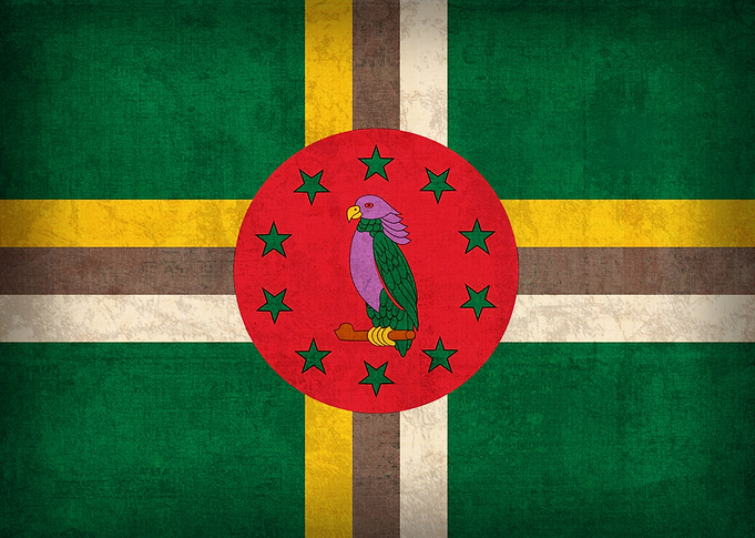 Dominica Flag on Distressed Canvas