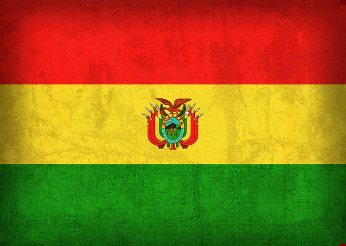 Bolivia Flag on Distressed Canvas