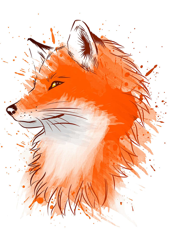 Water Color Fox