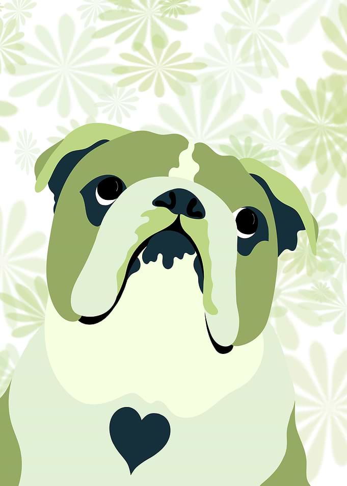 English Bulldog In Greener