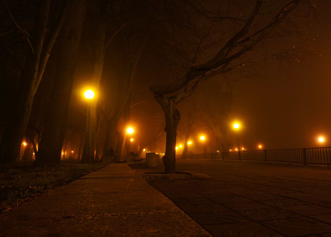 Night