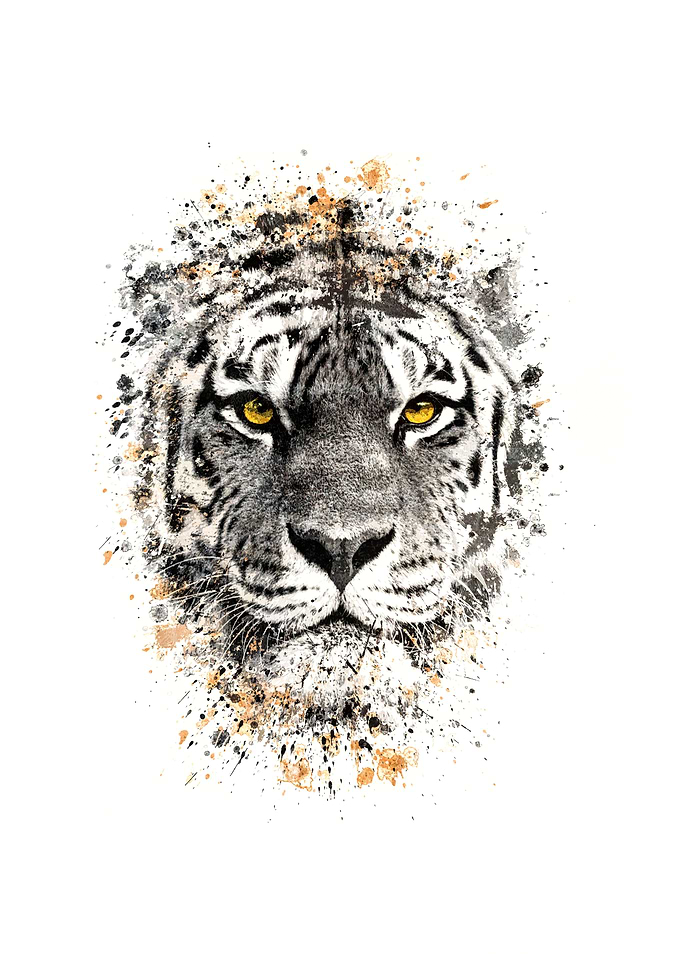 Tiger with yellow eyes