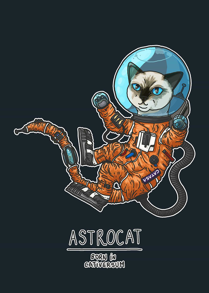 Astrocat, born in the Cativersum