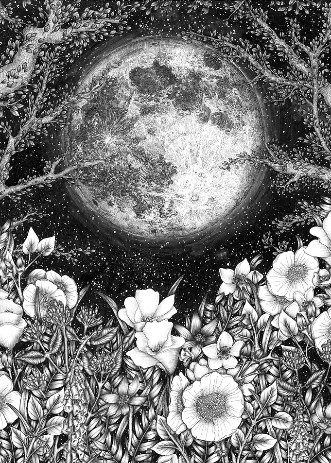Midnight in the Garden
