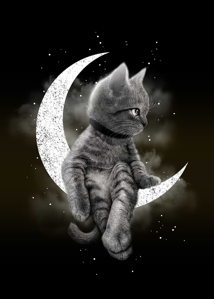 DREAMCAT