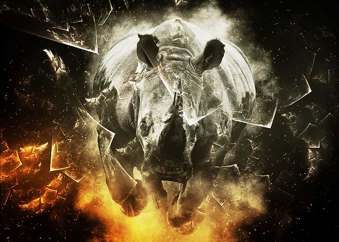 Rhinoceros Charge