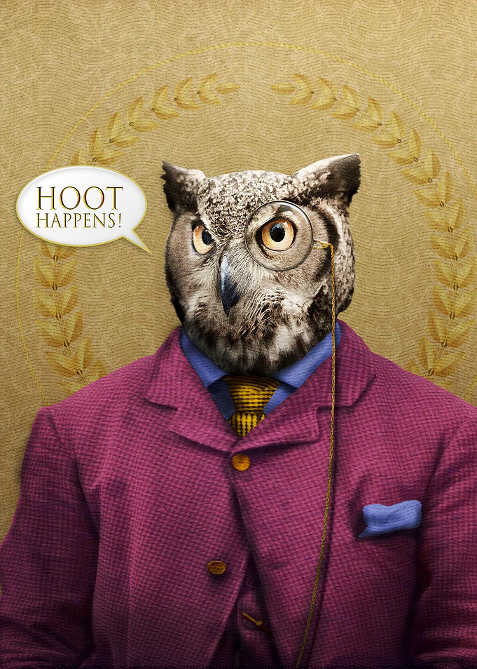 Mr. Owl