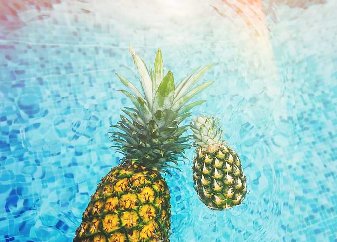ananasa pineapple