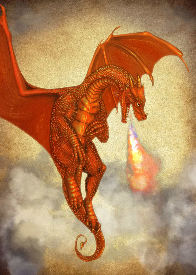 Orange Dragon