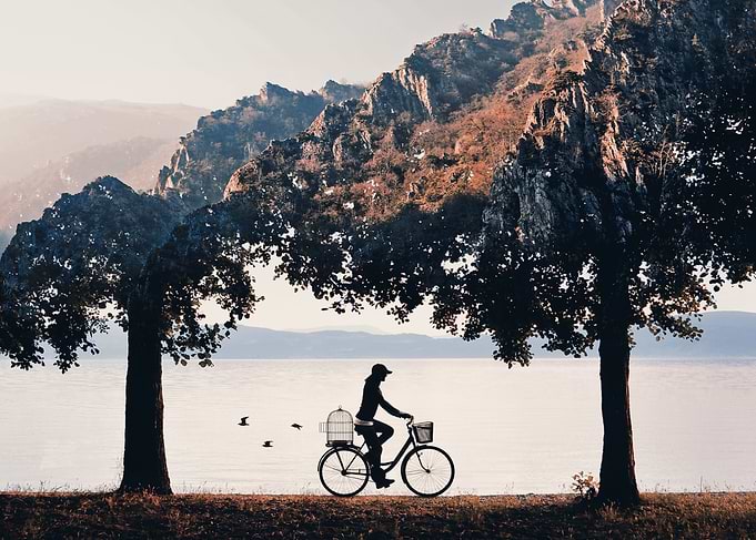 Into the Nature II