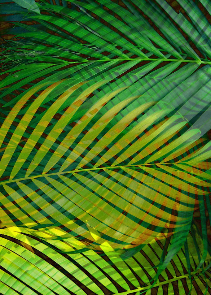 TROPICAL GREENERY LEAVES 3