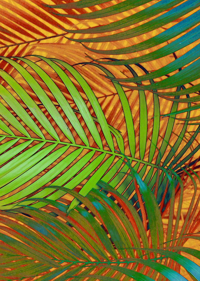 TROPICAL LEAVES POP-ART no2