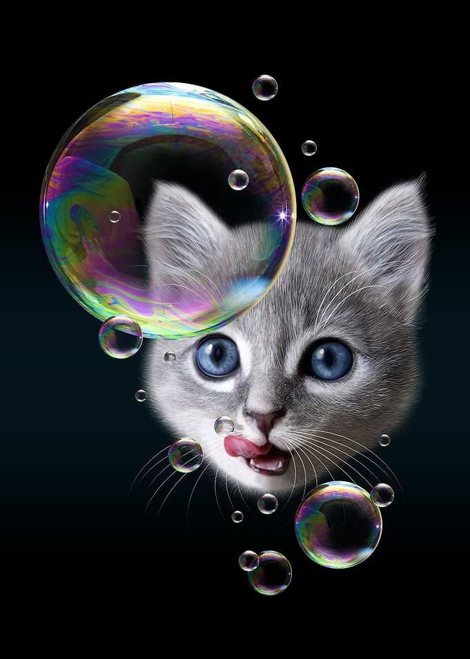 BUBBLEMAKER CAT