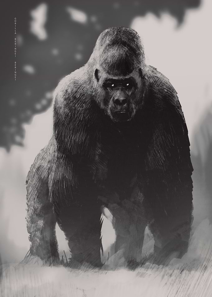 Gorilla