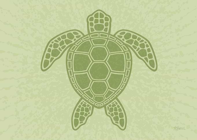 Green Sea Turtle