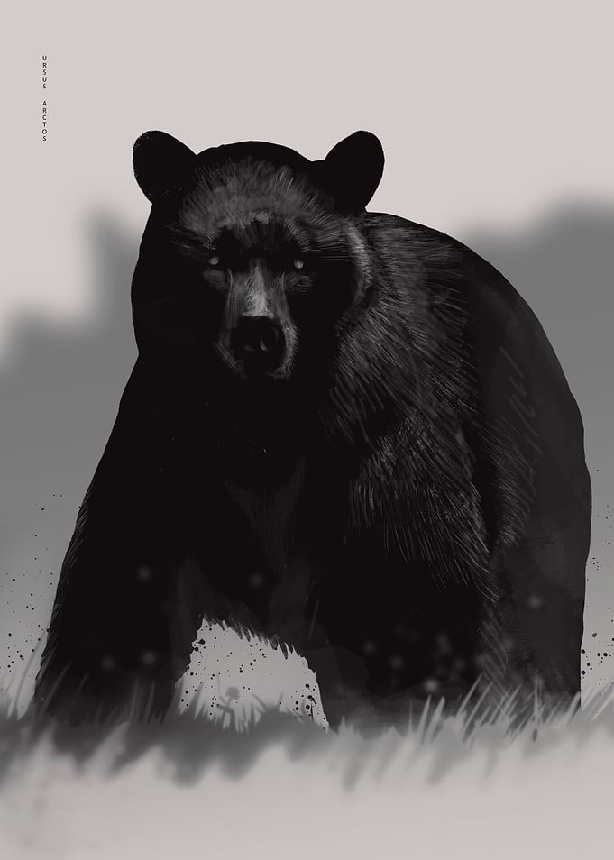 Grizzly