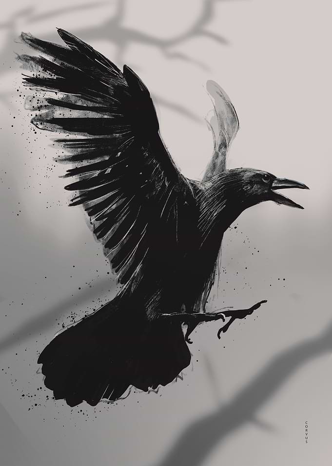 Crow