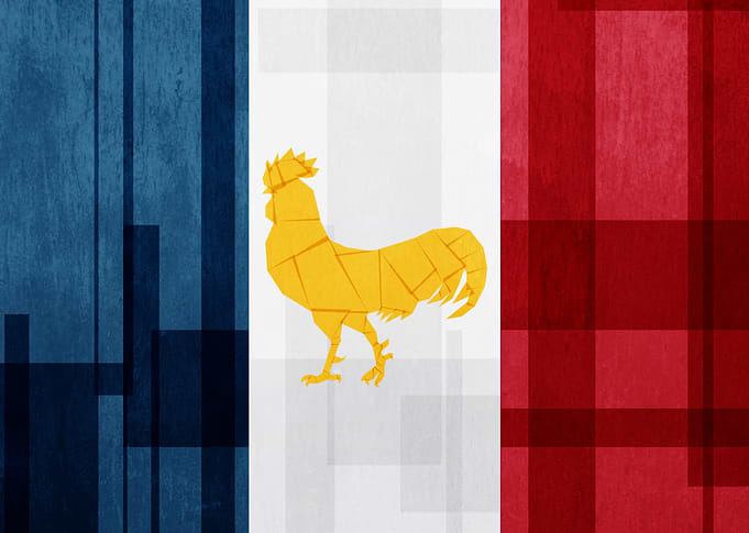 France Flag