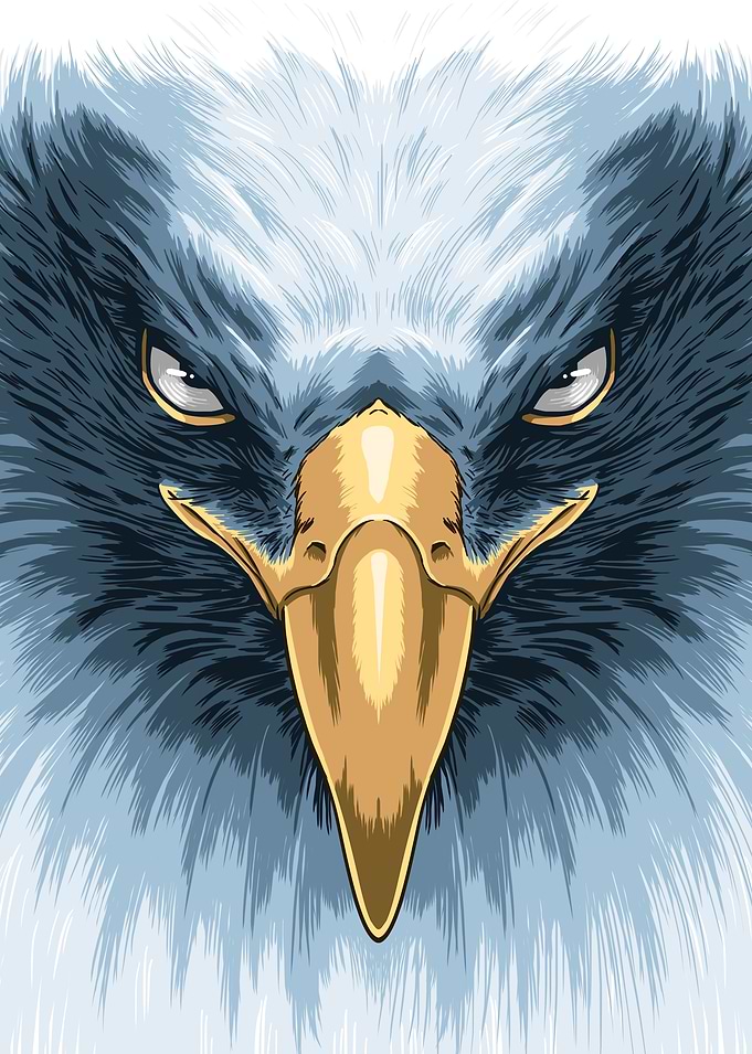 Face Eagle