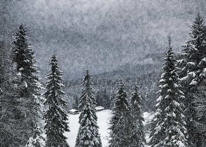 Bavarian Winter's Tale I