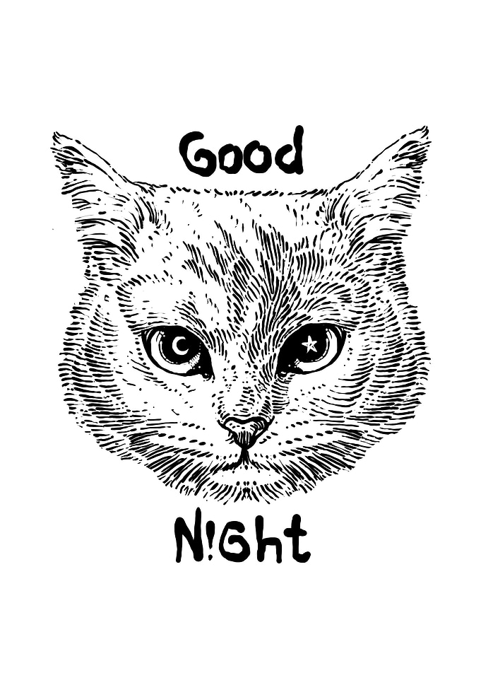 Good night.