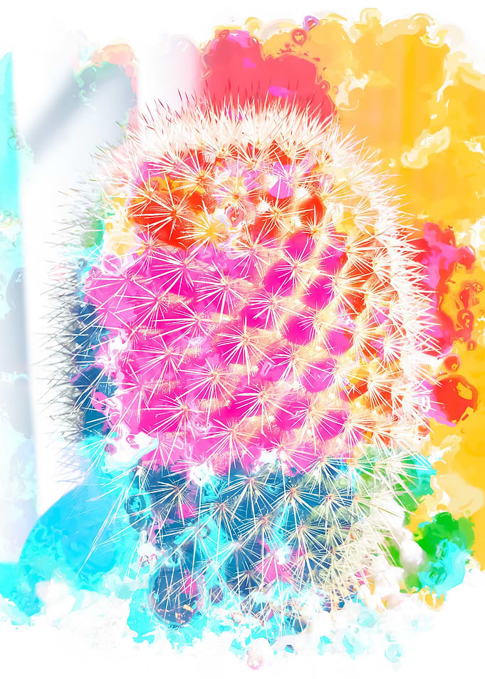 closeup cactus with colorful painting abstract in