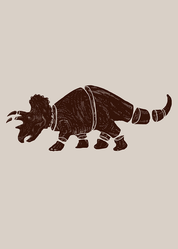 Triceratops life