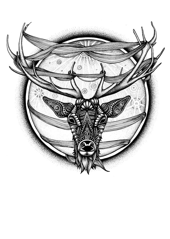 FAWN