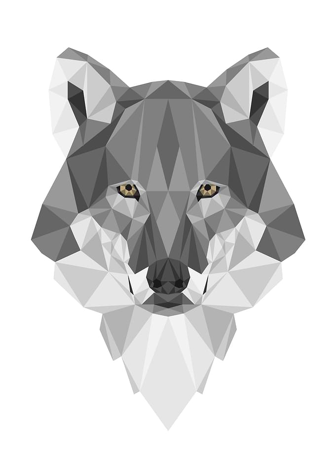 Geometric Wolf