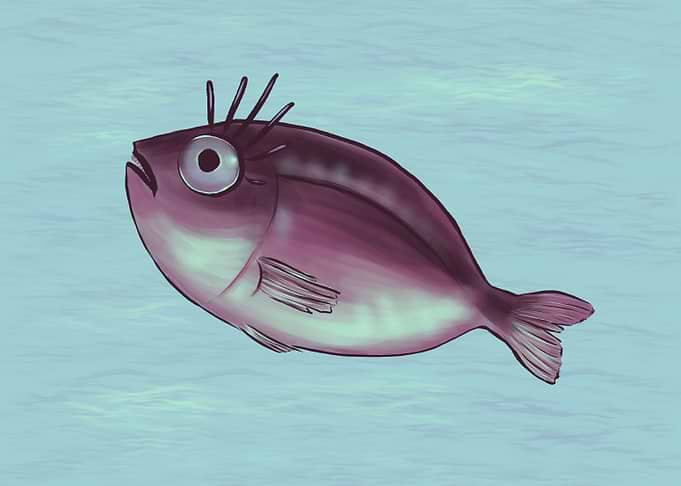 Funny Fish With Fancy Eyelashes